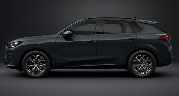 Cupra Terramar 2 of 5