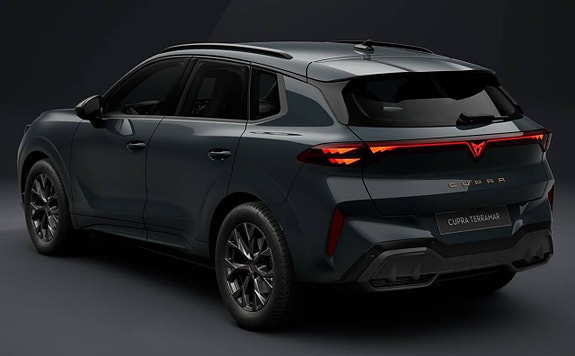 Cupra Terramar 3 of 5