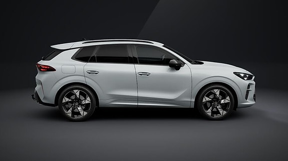 Cupra Terramar 4 of 5