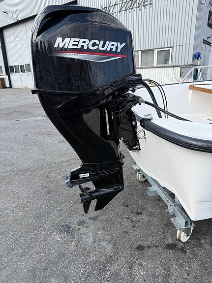 Boston Whaler 13 Sport Mercury 50 -23 3 of 12