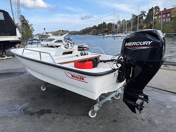 Boston Whaler 13 Sport Mercury 50 -23