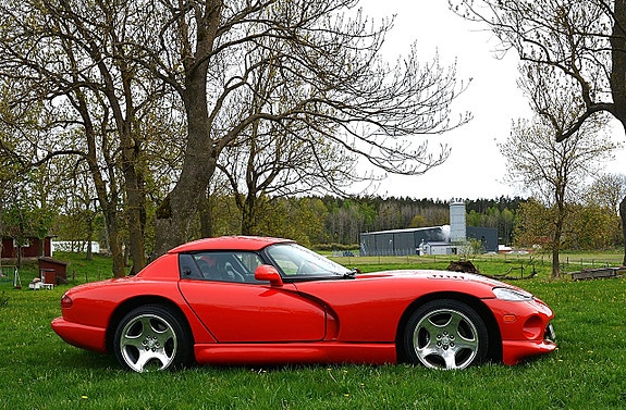 Dodge Viper 6 of 22