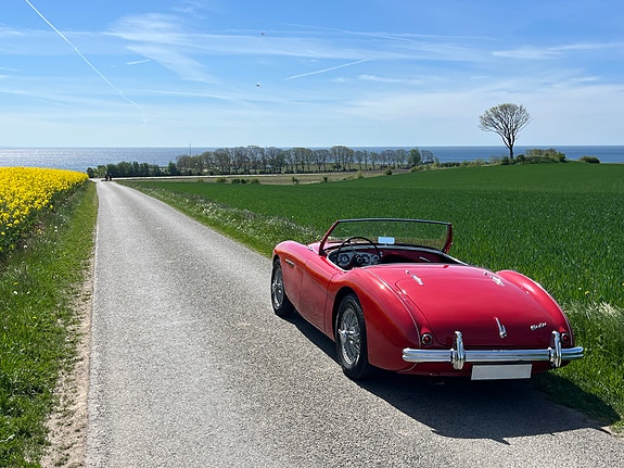 Austin Healey 100/4 22 of 22