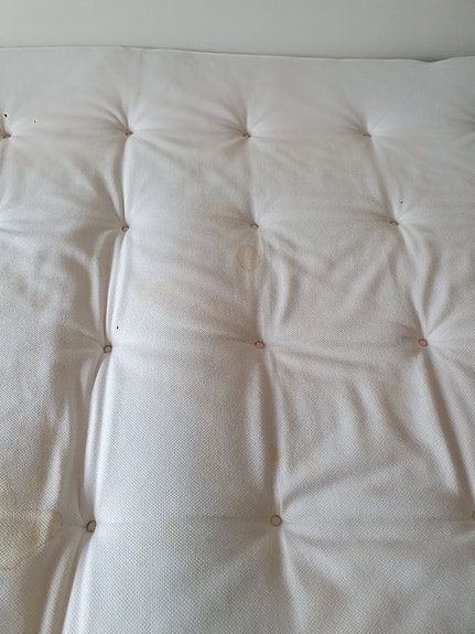 Product image 12 of 19