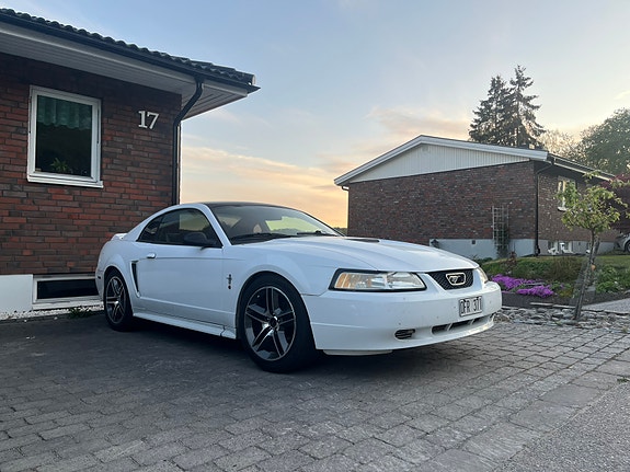 Ford Mustang 6 of 6