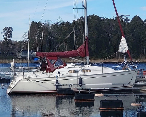 Delphia 29