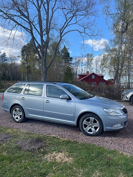 Brugt Škoda Octavia 1.6