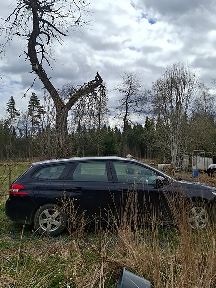 Peugeot 308 SW 3 of 5