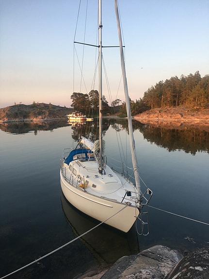 AMIGO 33 — Vedi foto 1