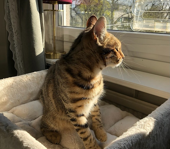 Product image 11 of 16