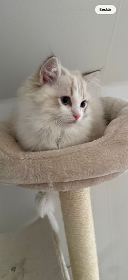 Product image 11 of 25