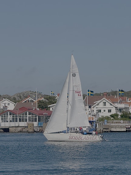 Maxi Racer — View photo 1