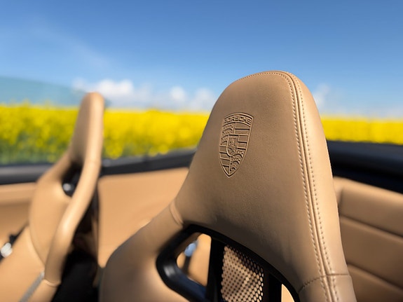 Porsche 911 15 of 17