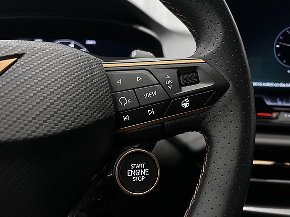 Cupra Terramar 12 of 16