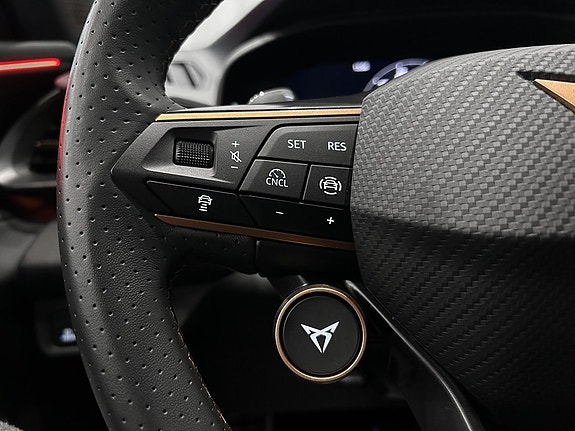Cupra Terramar 11 of 16