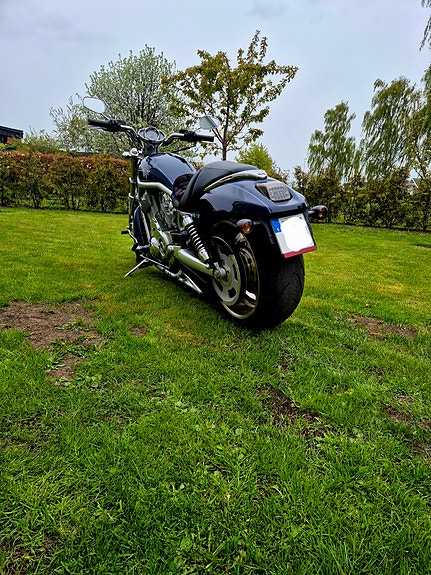 Harley-Davidson 2 of 2