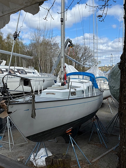 Harmony 31 — View photo 1