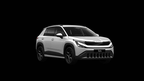 Brugt Škoda 100 