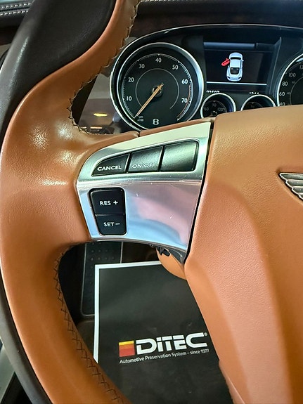 Bentley Continental GT 21 of 27