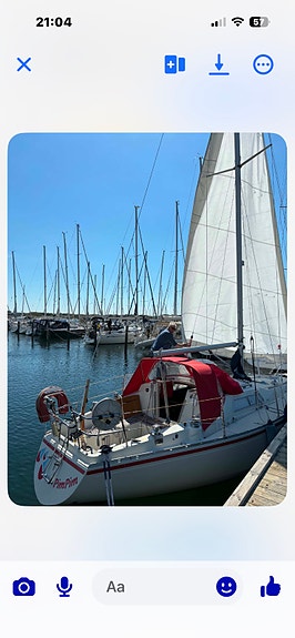 Scampi 30 — Vedi foto 1