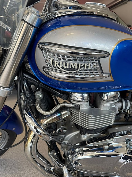 Triumph Motorcycles Bonneville Ameri, 61hk 61hk 8 of 11