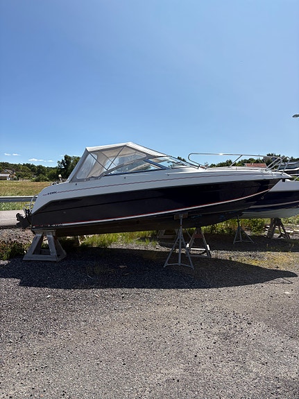 Ryds Daycruiser med nygenomgången motor 2 of 5