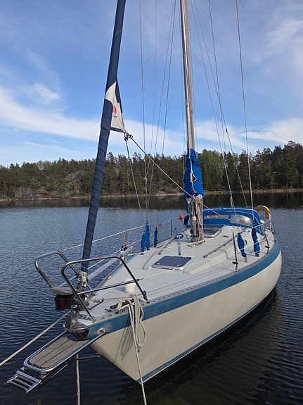 FORGUS 31 — View photo 1