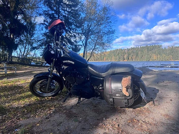 Harley-Davidson Sportster XL1200R 2 of 4