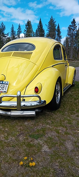 Volkswagen 1200 16 of 25