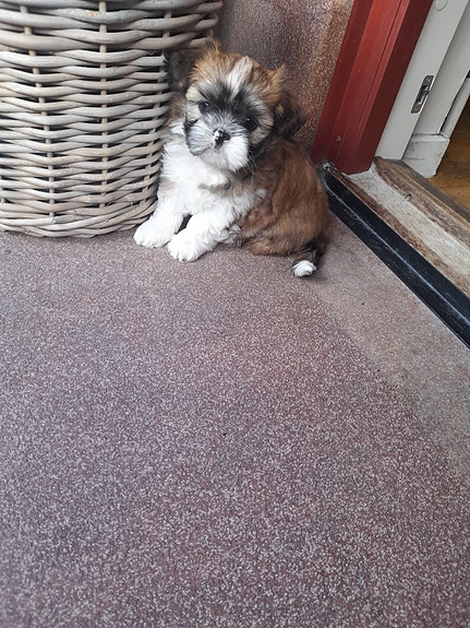 Product image 5 of 13