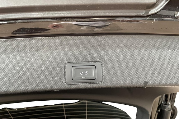 Cupra Terramar 18 of 28