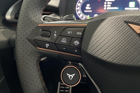 Cupra Terramar 19 of 28