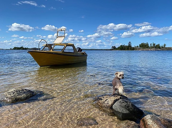 Charmig äldre gul dam: Ömo 495 9 of 10