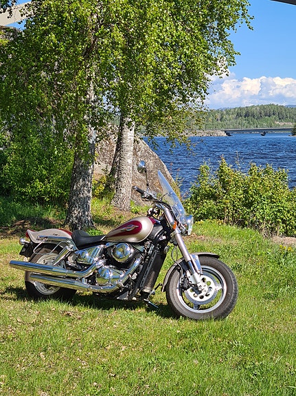 Suzuki VZ800 Marauder 6 of 8