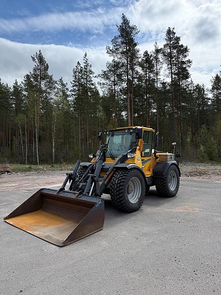 Wille 655c