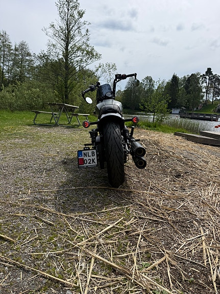 INDIAN SCOUT ROGUE 3 of 5