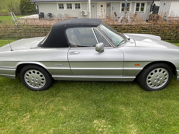 Alfa Romeo Spider 5 of 5