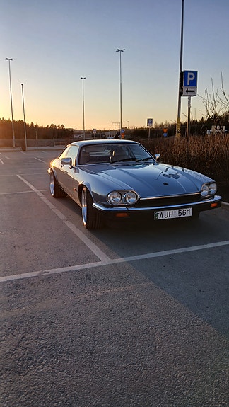 Jaguar XJS 3 of 13