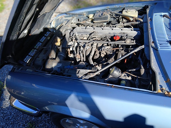 Jaguar XJS 11 of 13