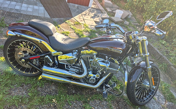 Harley-Davidson Breakout FXSBSE CVO 6 of 9