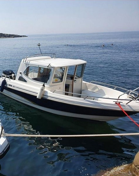 Bella 580C - Mercury F80 EFI (2024) + Trailer Folgelstad 80km trailer 4 of 5