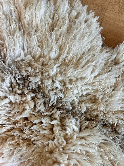 Product image 14 of 16