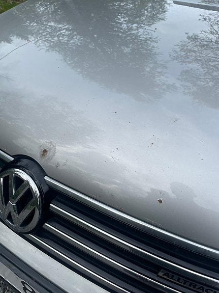 Volkswagen Passat Alltrack 5 of 5