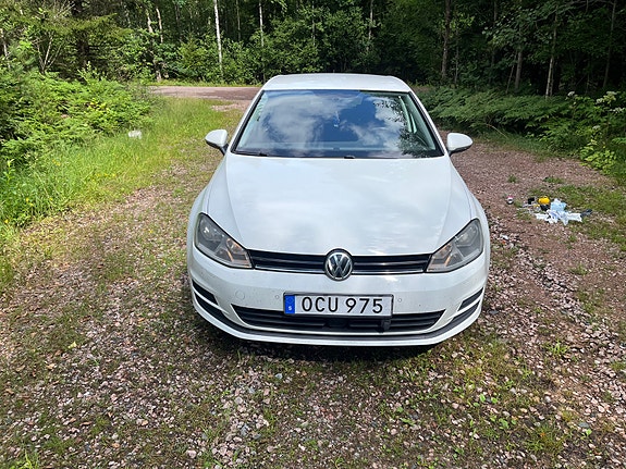 Volkswagen Golf VII 5 of 5