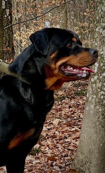 Product image 6 of 11
