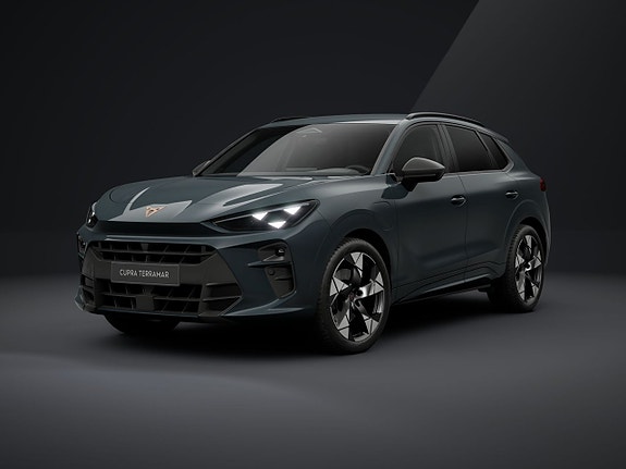 İkinci el  Cupra Terramar 1.5