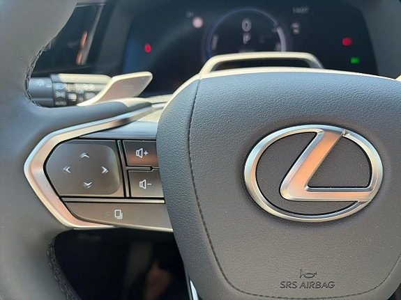 Lexus RZ350e 18 of 24