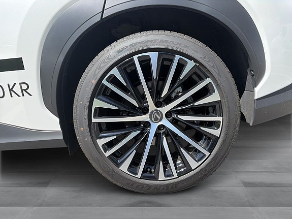 Lexus RZ350e 21 of 24