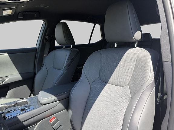 Lexus RZ350e 19 of 24
