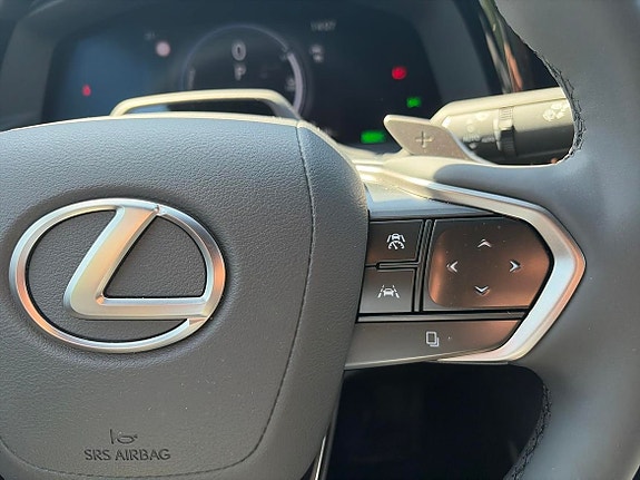 Lexus RZ350e 17 of 24